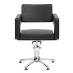 Original Best Buy Odeon Styling Chair, Black