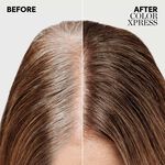 Wella Professionals Color Xpress Permanent Hair Colour - Lightest Blonde 10/ 60ml