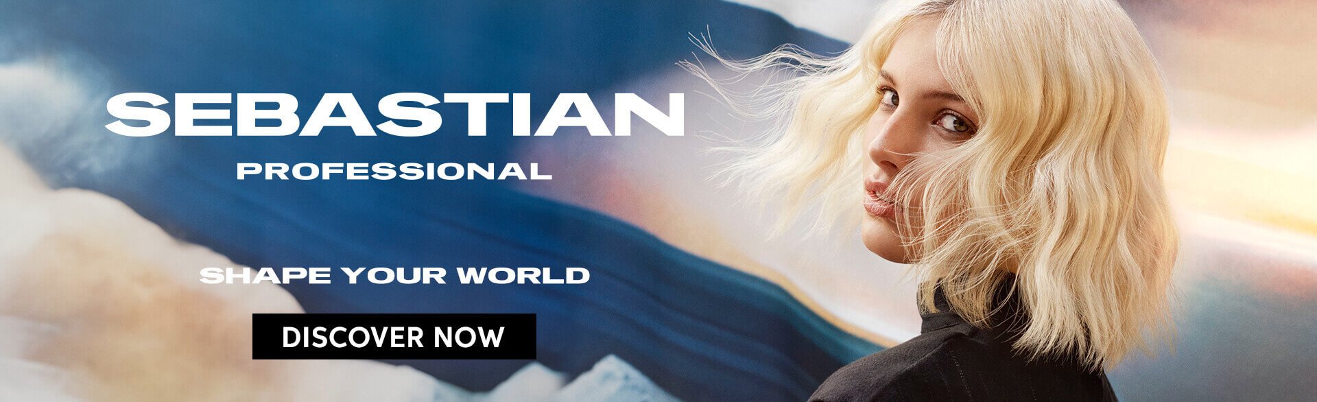 Sebastian Professional header image
