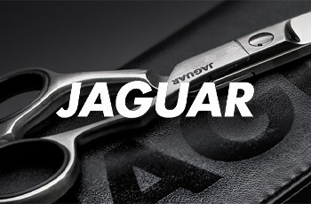 Brands J: JAGUAR