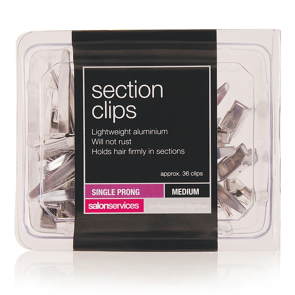 Salon Services Section Clip Aluminium Pack of 36